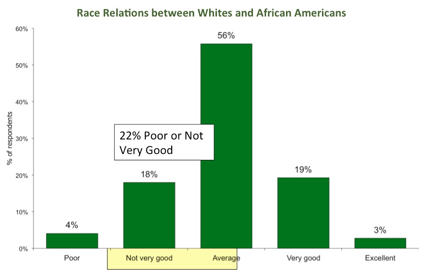 Race Relations in Greenville, SC