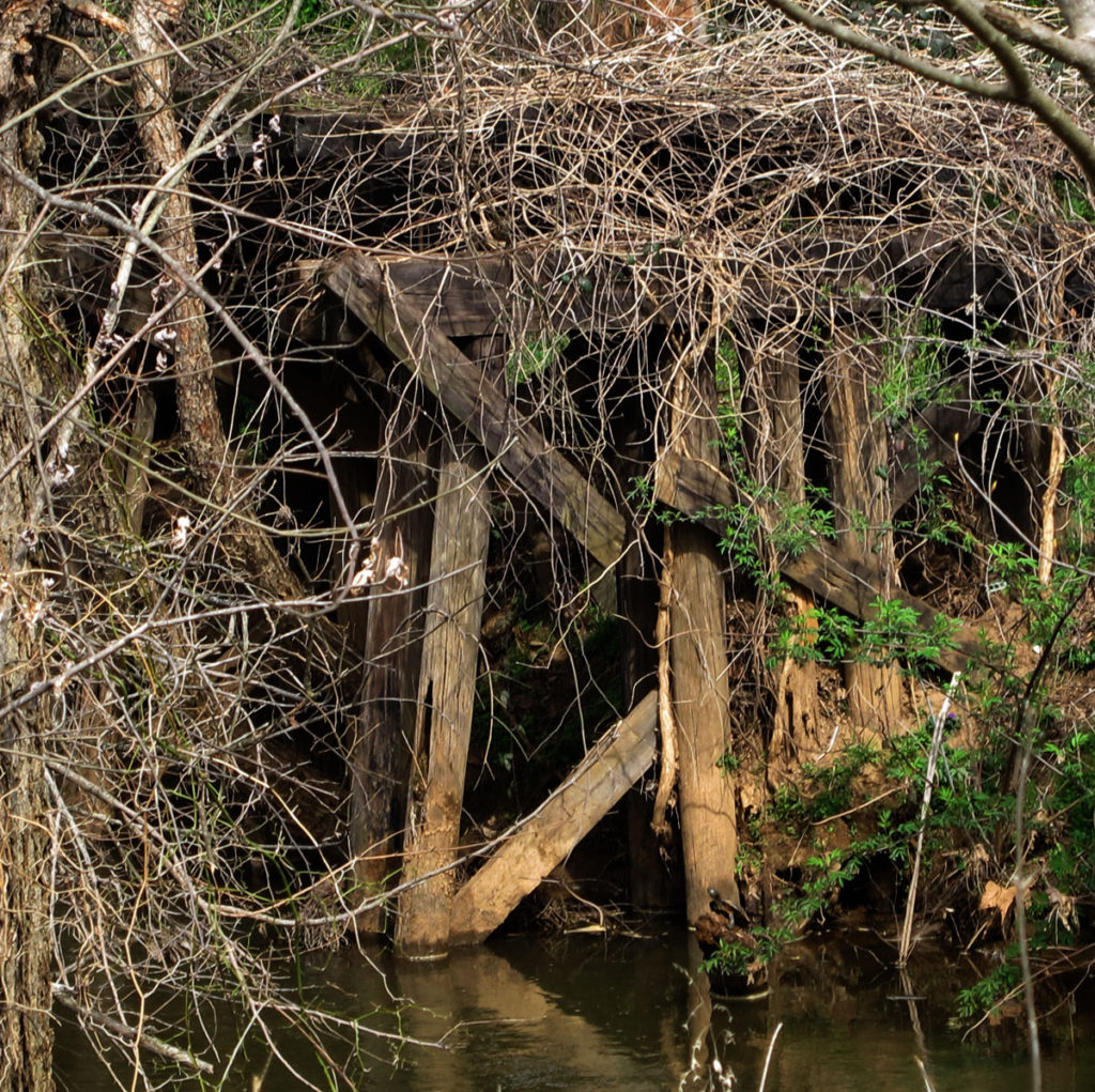 Swamp Rabbit Train pilings outside of Greenville, SC